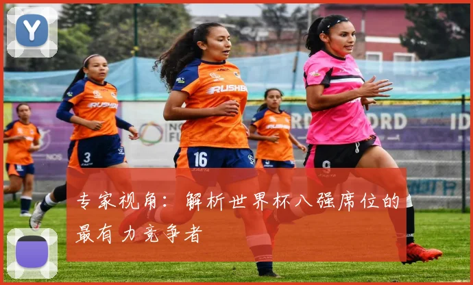专家视角：解析世界杯八强席位的最有力竞争者