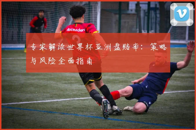 专家解读世界杯亚洲盘赔率：策略与风险全面指南