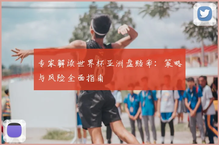 专家解读世界杯亚洲盘赔率：策略与风险全面指南