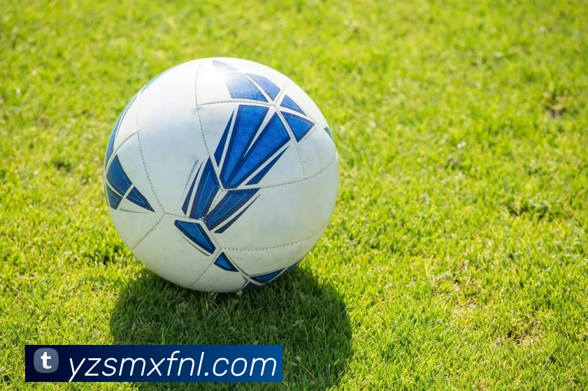 开云手机入口登录官网品牌故事