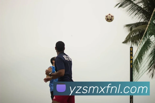 专家视角：解析世界杯八强席位的最有力竞争者
